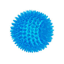 4957-202002141136203761769